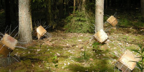 Naturkultur Niederroden
                        